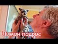 VLOG Настя и Лимон приехали. Забыла его бутылочку с соской