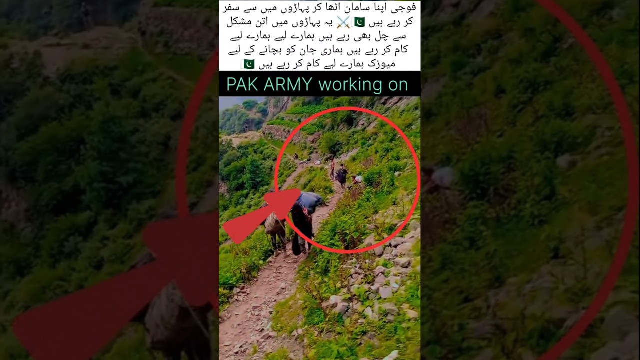 Pakistan Army youth are going to the mountains. 