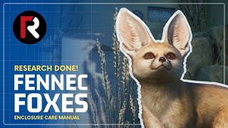Fennec Fox | Research Done! | Planet Zoo Guide | Enclosure Design Manual screenshot 2