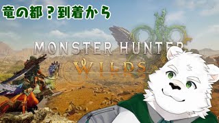 モンハンストーリー進めてく~4~