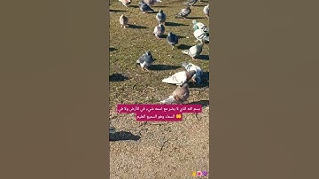 واضب على اذكار الصباح والمساء لا تتركها أبدا 👂👂#صلوا_على_النبي #اكسبلورر