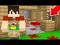 ISMETRG KAYBOLDU 😱 - Minecraft