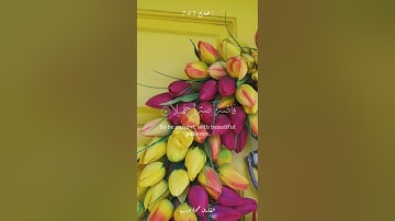 فاصبر صبرا جميلا انهم يرونه بعيدا ونراه قريبا | القارئ حمزة بوديب