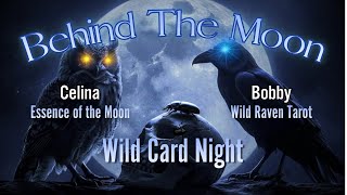 Behind The Moon: Wild Card  Noght