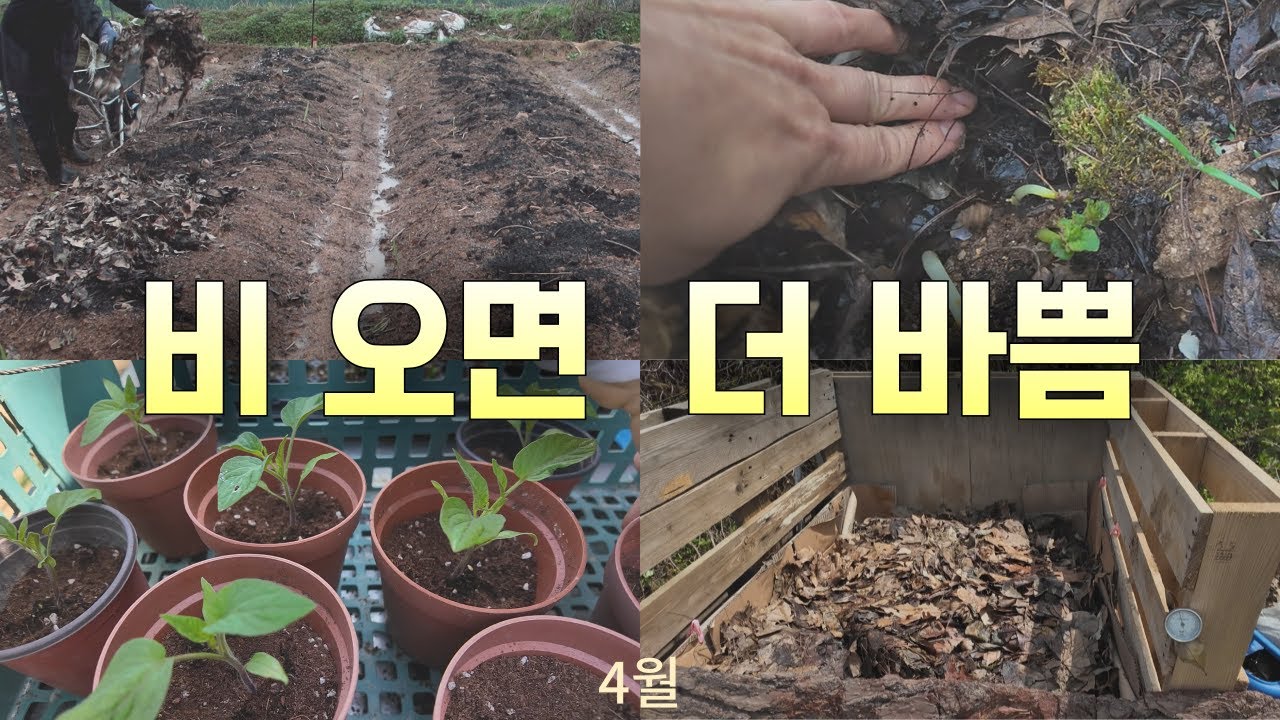 Правильные весенние дожди / Весеннее компостирование / Поздние весенние посадки