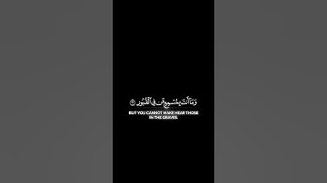" وما يستوي الأعمى والبصير " [ سورة فاطر ]