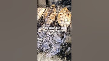 bakar ikan tampa harus gosong caranya... ikuti videonya 👍👍👍👍