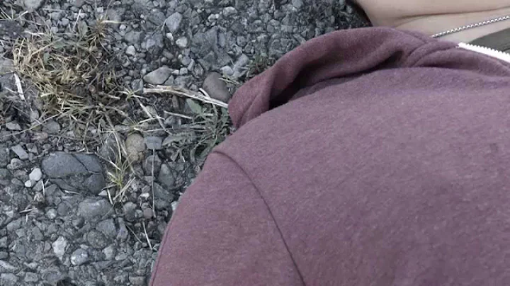 Dropped - A Film by Terry Jones, Erin Perkins and ...