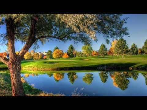 Nature video (whatsApp status) beautiful places