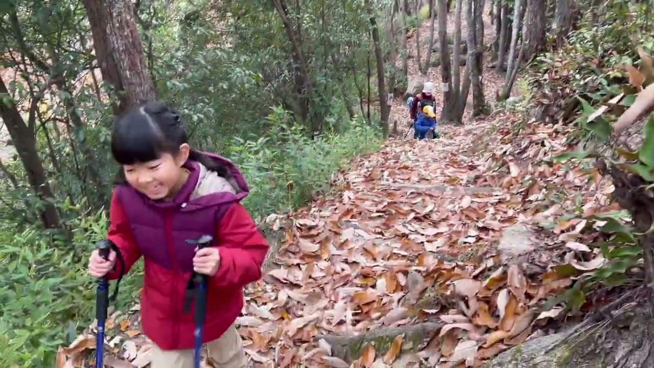 広島 登山 ちびっこ山登り隊　小早川隆景の山城跡　新高山　2024年12月8日