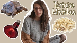 Common Tortoise Mistakes You Probably Made