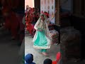 Gholly berwal govt school dance jita kheri