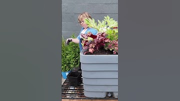 The Container Challenge | Week 2 - Shade