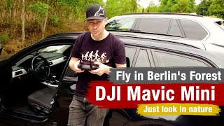 DJI Mavic Mini, fly in Berlin&#39;s Forest (Just look in nature) | DLD 0.4