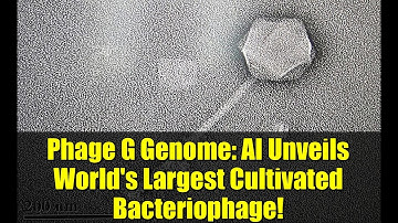 Phage G Genome: AI Unveils World