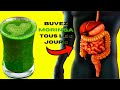 Moringa  dcouvrez pourquoi vous avez besoin tous les jours de cet aliment miracle  arbre de vie