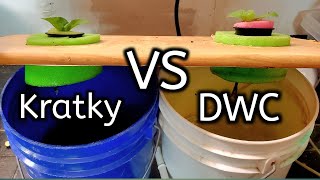 Kratky Vs DWC Hydroponics Competition- Which One Is Better?