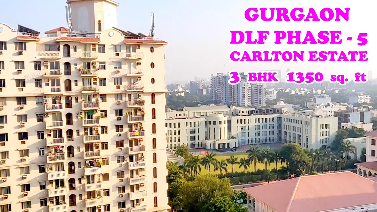 CODE0285 DLF CARLTON ESTATE 3 BHK 1350 sq.ft Gurgaon Dlf Phase 5 YouTube