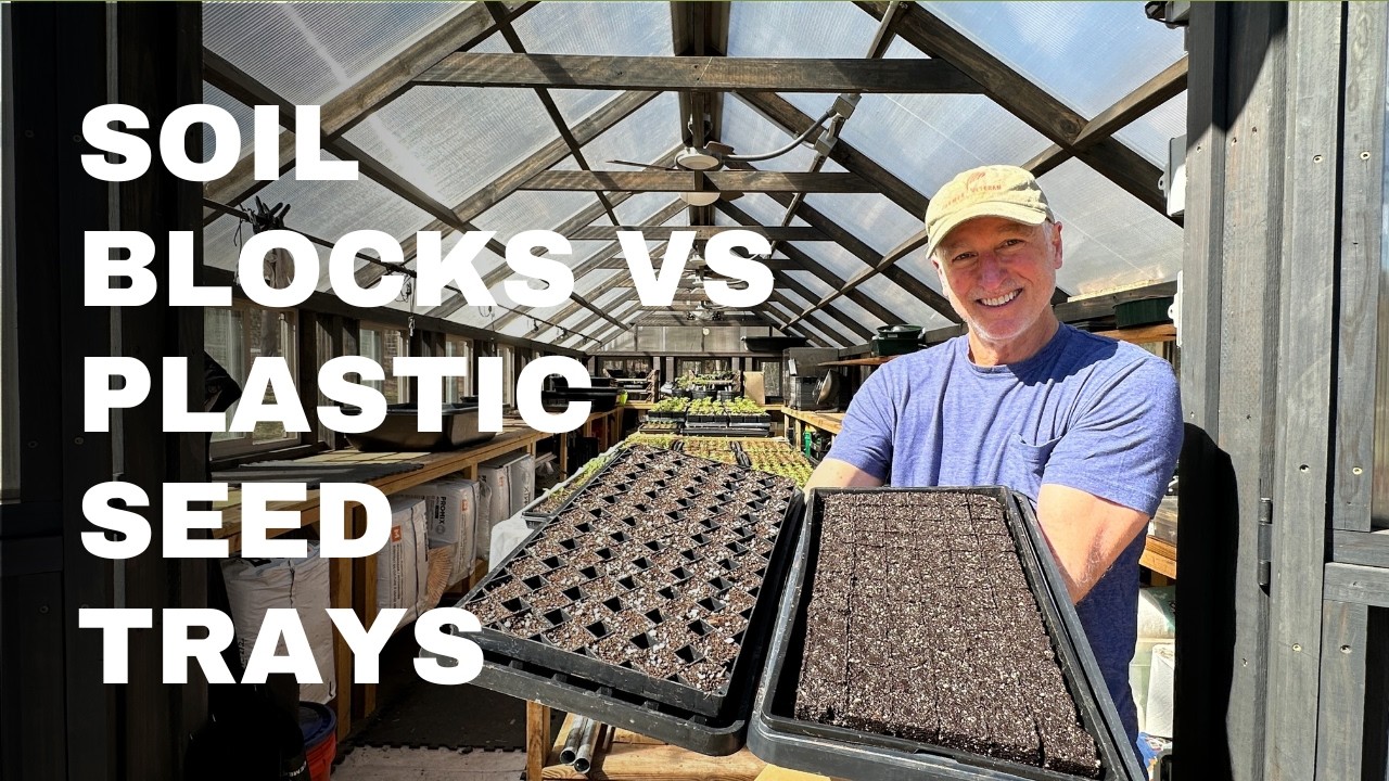 Почвенные блоки против пластиковых лотков для рассады: какой метод посева семян лучше?
