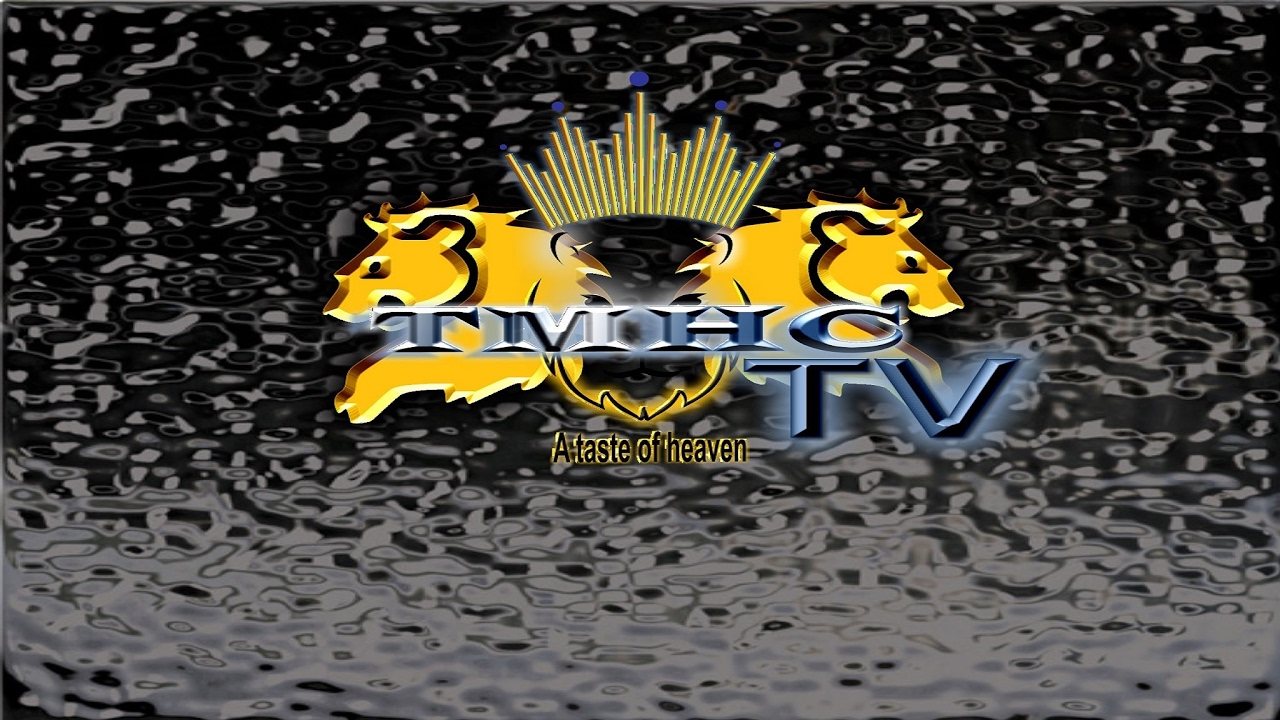 Zion Lexx , Interview YouTube