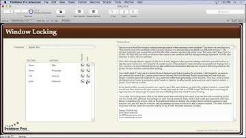Window Locking in FileMaker