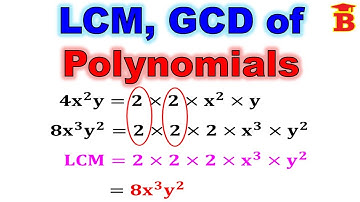 LCM and GCD of Polynomials