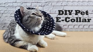 DIY Cat ECollar | How to Make an ECollar for Your Pet |  DIY Pet ECollar | DIY 猫头套 |  猫头套的制作法