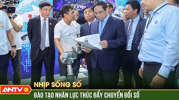 Đào tạo nhân lực thúc đẩy chuyển đổi số | Nhịp sống số | ANTV
