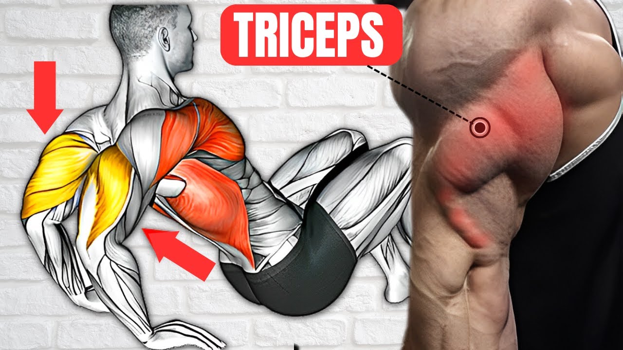 BUILD BIGGER TRICEPS FAST🔥💪💯 || KILLER TRICEPS EXERCISES || TRICEP ...