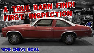 Barn Find Alert! CAR WIZARD inspects a '79 Nova for the first time in 15 years! Will he restore it?