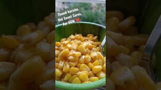 Sweet Corn Masala| Monsoon Special Food|Indian Cuisine Food Vlogs shorts