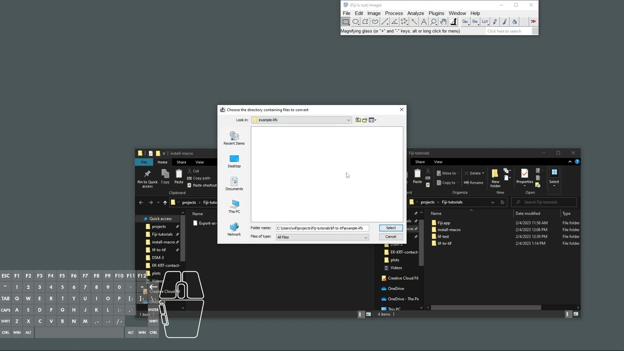 ImageJ/Fiji: Batch export lif to tif
