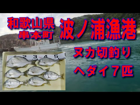 #49和歌山県串本町波ノ浦港雄大な海と豊かな自然アジが多く釣れる場所です良形のヘダイが釣れました規模は小さいですがきれいな漁港です堤防アジング釣りポイント釣りスポット