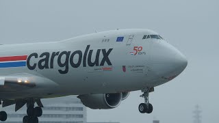 カーゴルクスの着陸 Cargolux Boeing 747-8R7F/SCD LX-VCD
