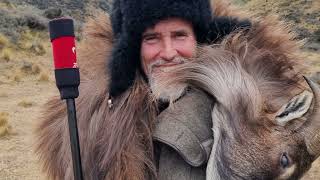 Tahr Meat For Dinner - The Wildest Clay Tall Stories