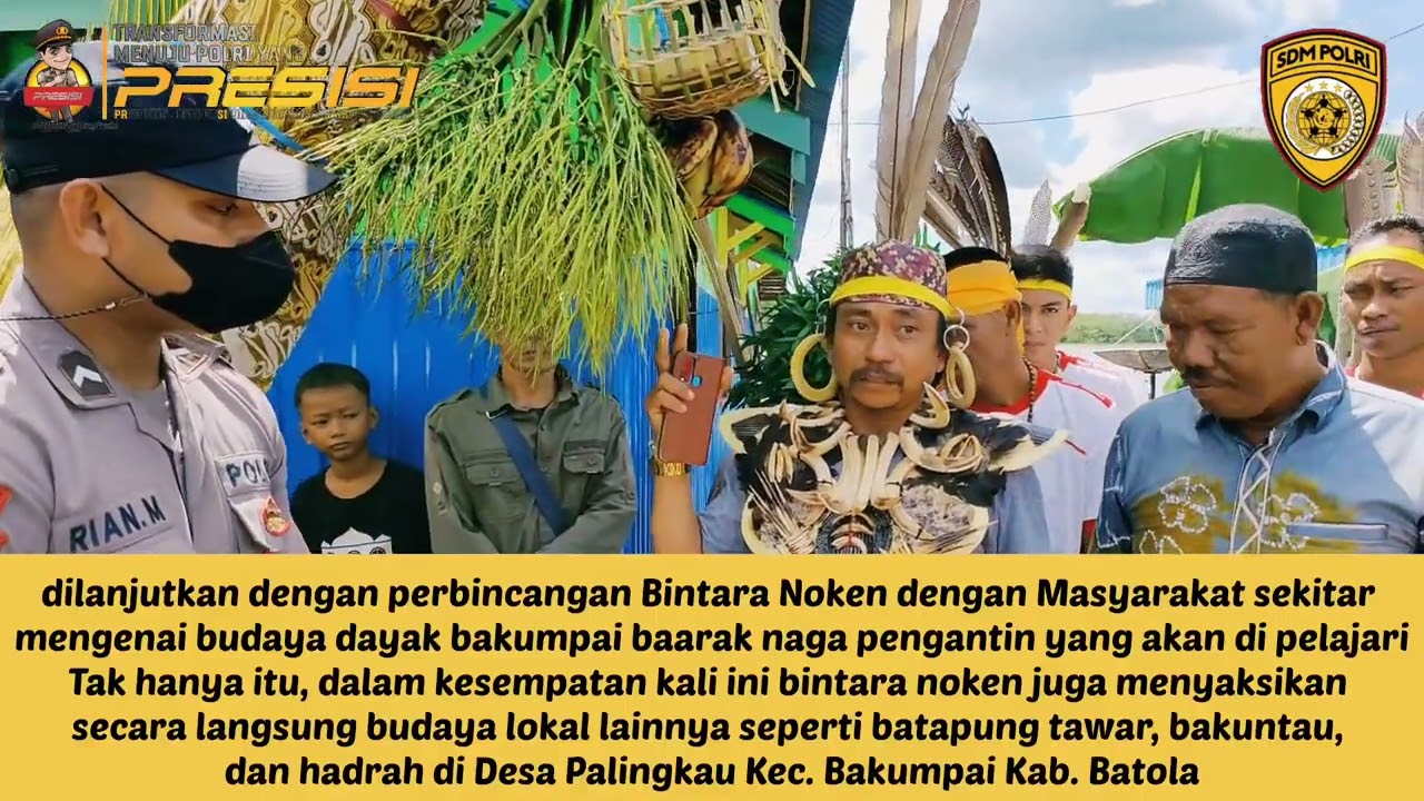 Bintara Noken Polres Barito Kuala Belajar Budaya Baarak Naga Pengantin diDesa Palingkau Kec.Bakumpai