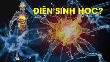 Tìm hiểu về điện sinh học với sức khỏe con người | Khoa học sức khỏe | CS GLOBAL
