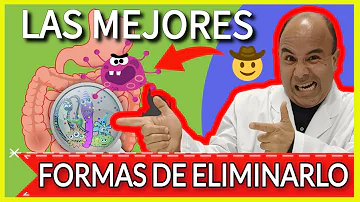 ¿Cómo puedo mejorar mis bacterias intestinales para el SII?