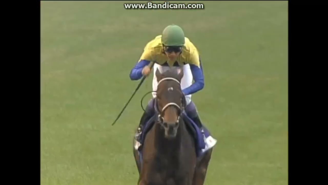 ⑦◇ 競馬 JRA ◇ ディープインパクト ◇ ジャパンカップ ◇優勝