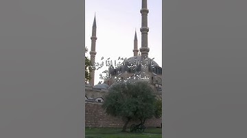 أواخر سورة الجمعة #سعد_الغامدي