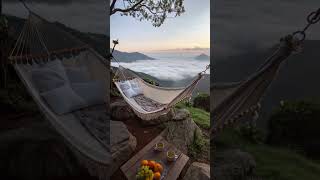 Serene Patio Paradise | Calming Nature & Hammock Relaxation