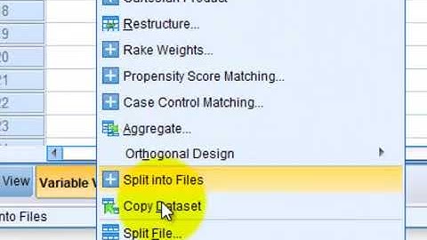 Split file in SPSS