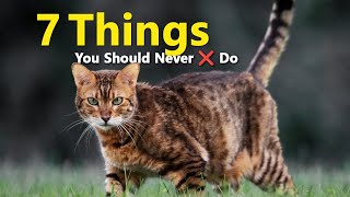7 Things You Should Never ❌ Do With A Bengal Cat❗ by Animal Beast 97 views 2 months ago 3 minutes, 33 seconds