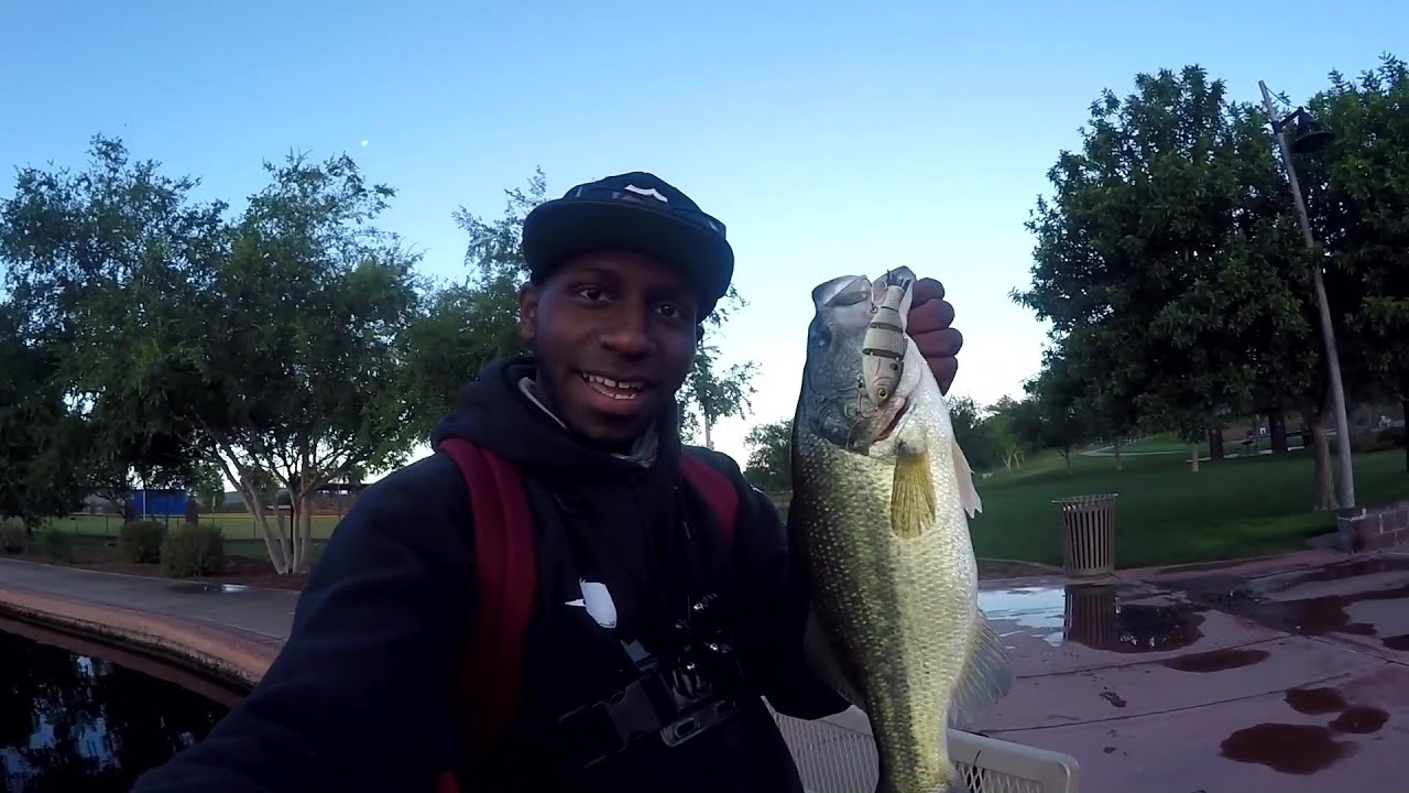 Fishing Small Ponds With Swimbaits For Aggressive Bass! 