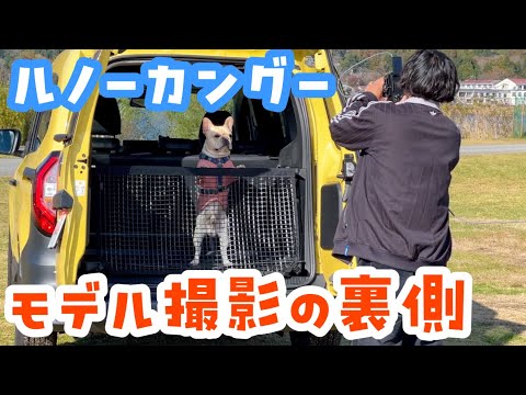 【ルノー カングー】オフィシャルサイトのモデル撮影をしたよ!フレンチブルドッグのルーク【Luke VLOG #152】