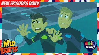 Wild Kratts Swimming With The Fishes Akili Kids