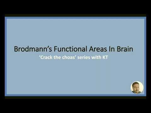 Brodmann area made simple #Simplified numericals #Mapped brain #Anatomy #Physiology #Neurology