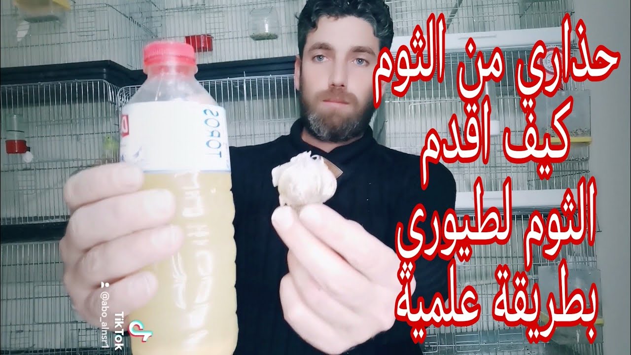 احذر ان تقدم الثوم لطيورك بهذه الطريقة علاج فقدان الشهية عند الطيور