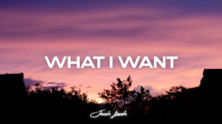 (FREE) Morgan Wallen x Tate McRae Type Beat "What I Want"