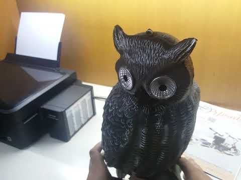 ReViw หุ่นนกฮูกยักษ์ทนแดดทนฝน สำหรับไล่นก